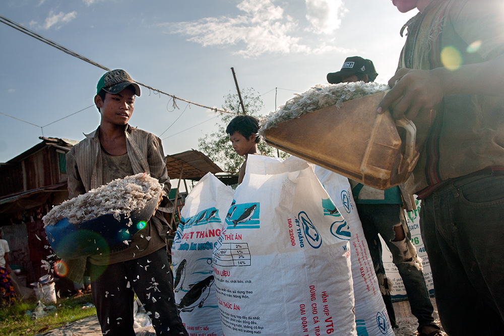 Young men load minced recycled plastic into bags in front of a recycling warehouse in Siem Reap.